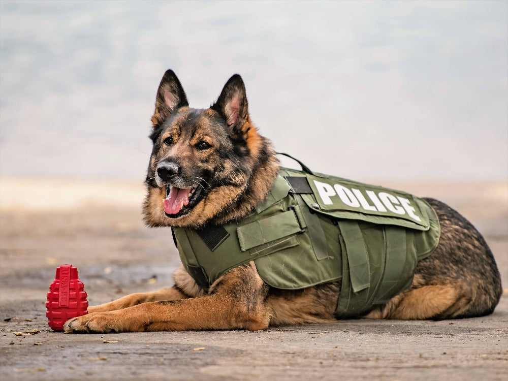 USA-K9 Grenade Rubber Dog Chew Toy – Treat Dispenser, USA Made – alternate view 9