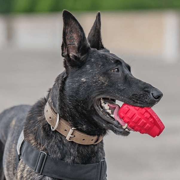 USA-K9 Grenade Rubber Dog Chew Toy – Treat Dispenser, USA Made – alternate view 5