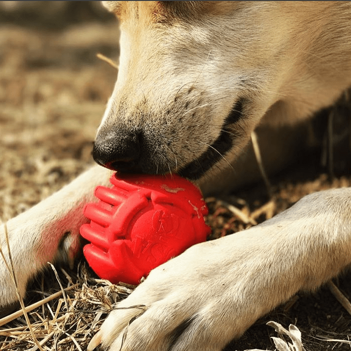 USA-K9 Stars and Stripes red rubber dental ball dog toy – photo 7 of 10