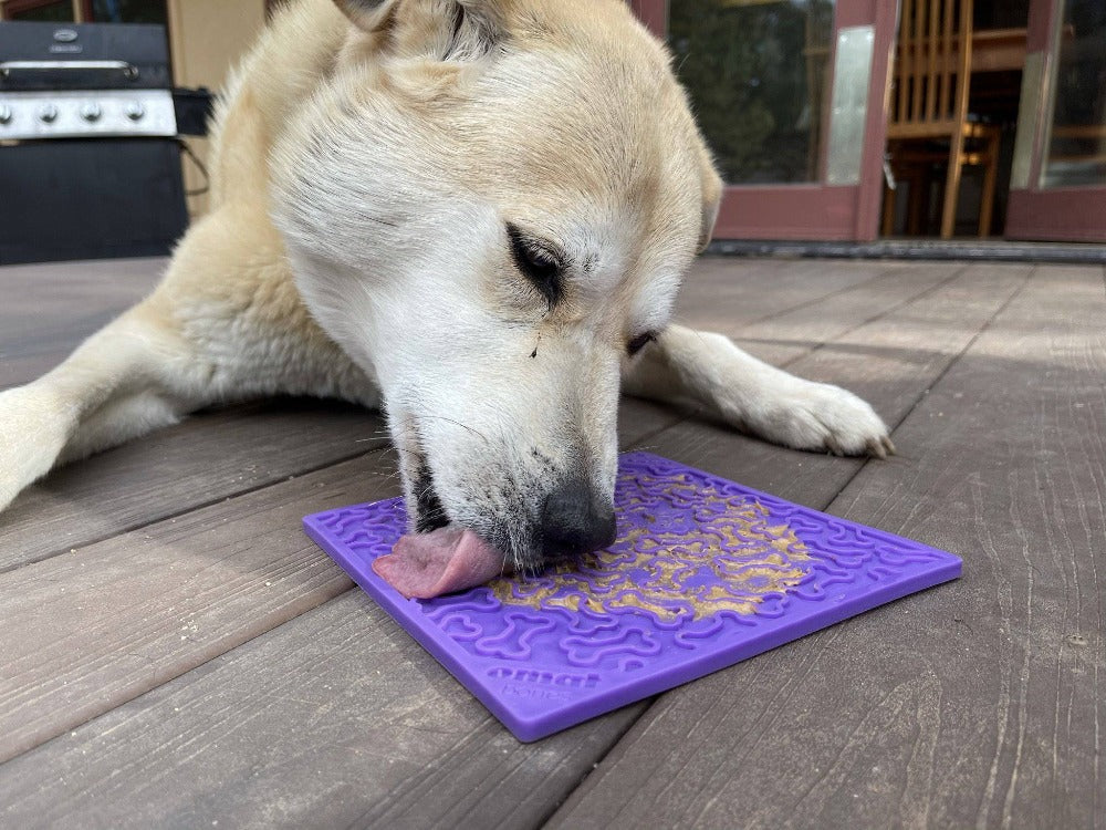 Bones Enrichment Lick Mat for Dogs & Cats – Anxiety Relief – alternate view 10