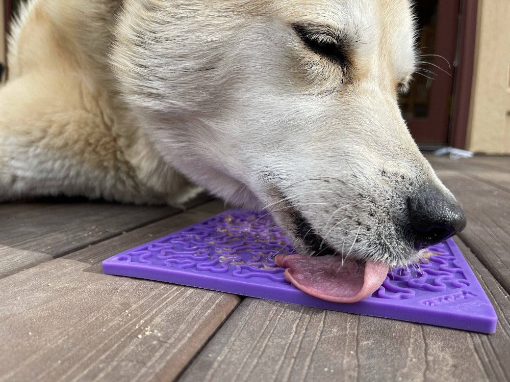 Bones Enrichment Lick Mat for Dogs & Cats – Anxiety Relief – alternate view 7
