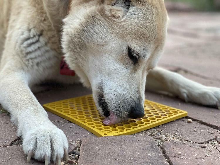 Honeycomb Enrichment Lick Mat for Dogs & Cats – Anxiety Relief – alternate view 10