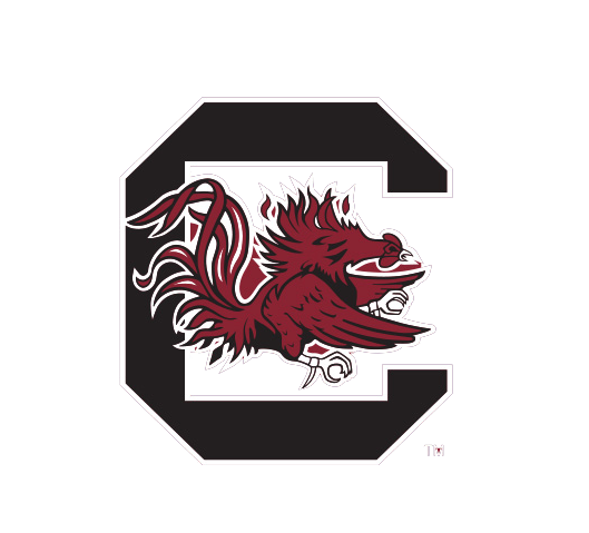 Ncaa University of South Carolina Cocky Knottie Plush Dog Toy, side view