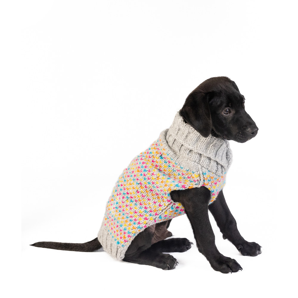 Sprinkles Dog Sweater Birthday Cake Design – photo 2 of 9