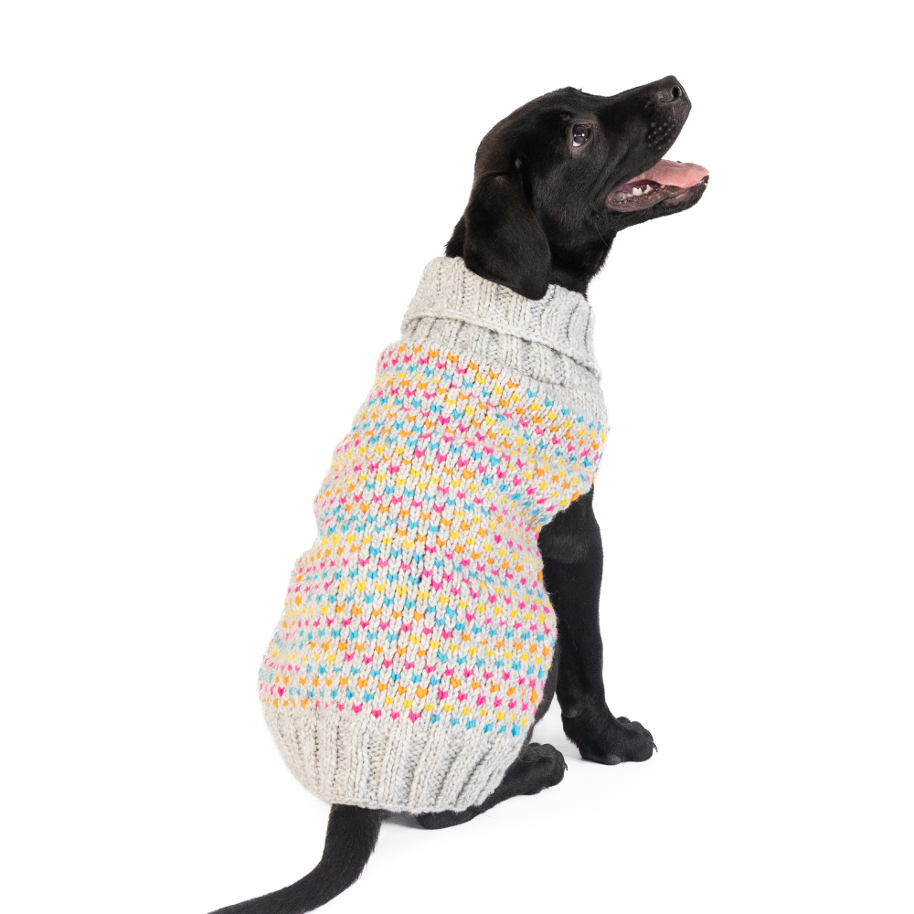 Sprinkles Dog Sweater Birthday Cake Design – photo 3 of 9