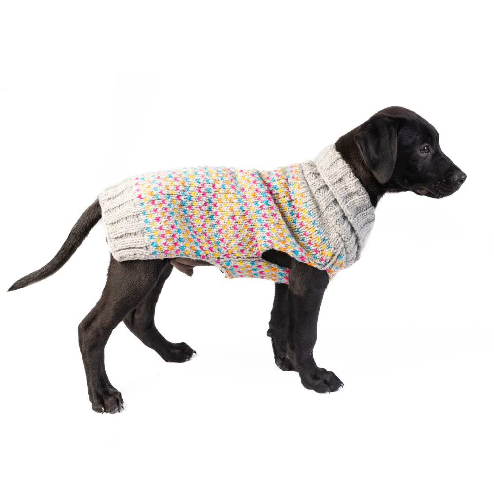 Sprinkles Dog Sweater Birthday Cake Design – photo 4 of 9