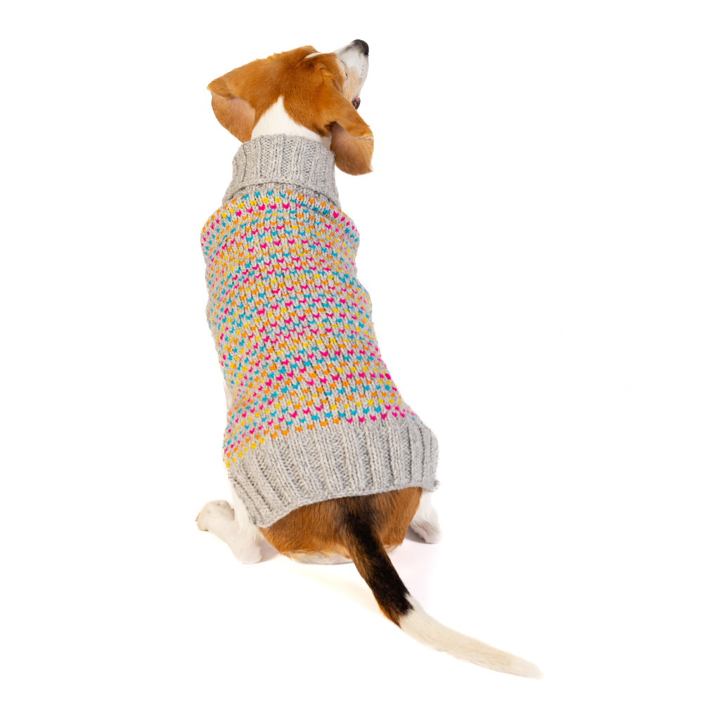 Sprinkles Dog Sweater Birthday Cake Design – photo 5 of 9