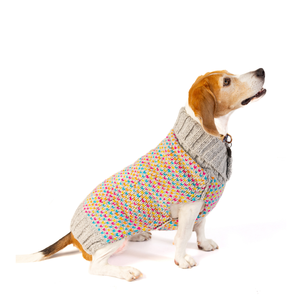 Sprinkles Dog Sweater Birthday Cake Design – photo 7 of 9