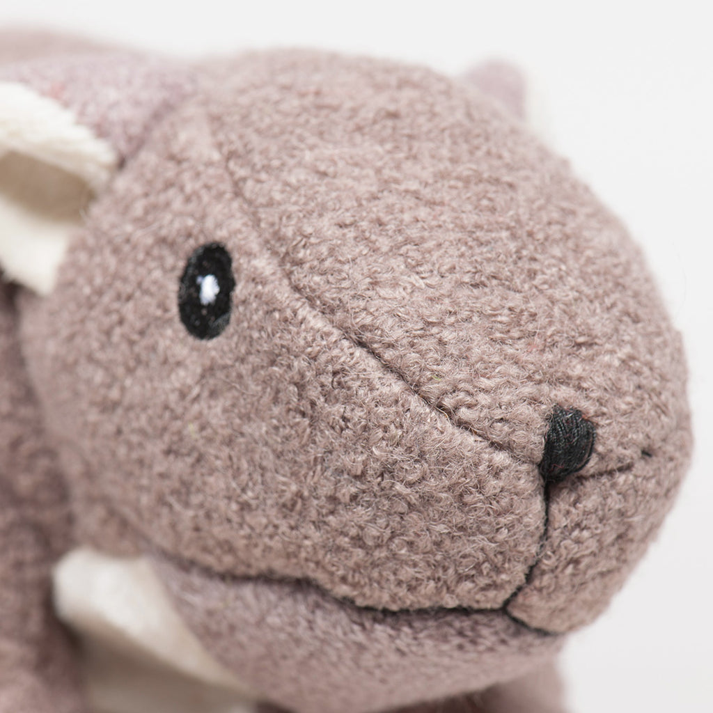 Feller Squirrel Plush Dog Toy, packaging