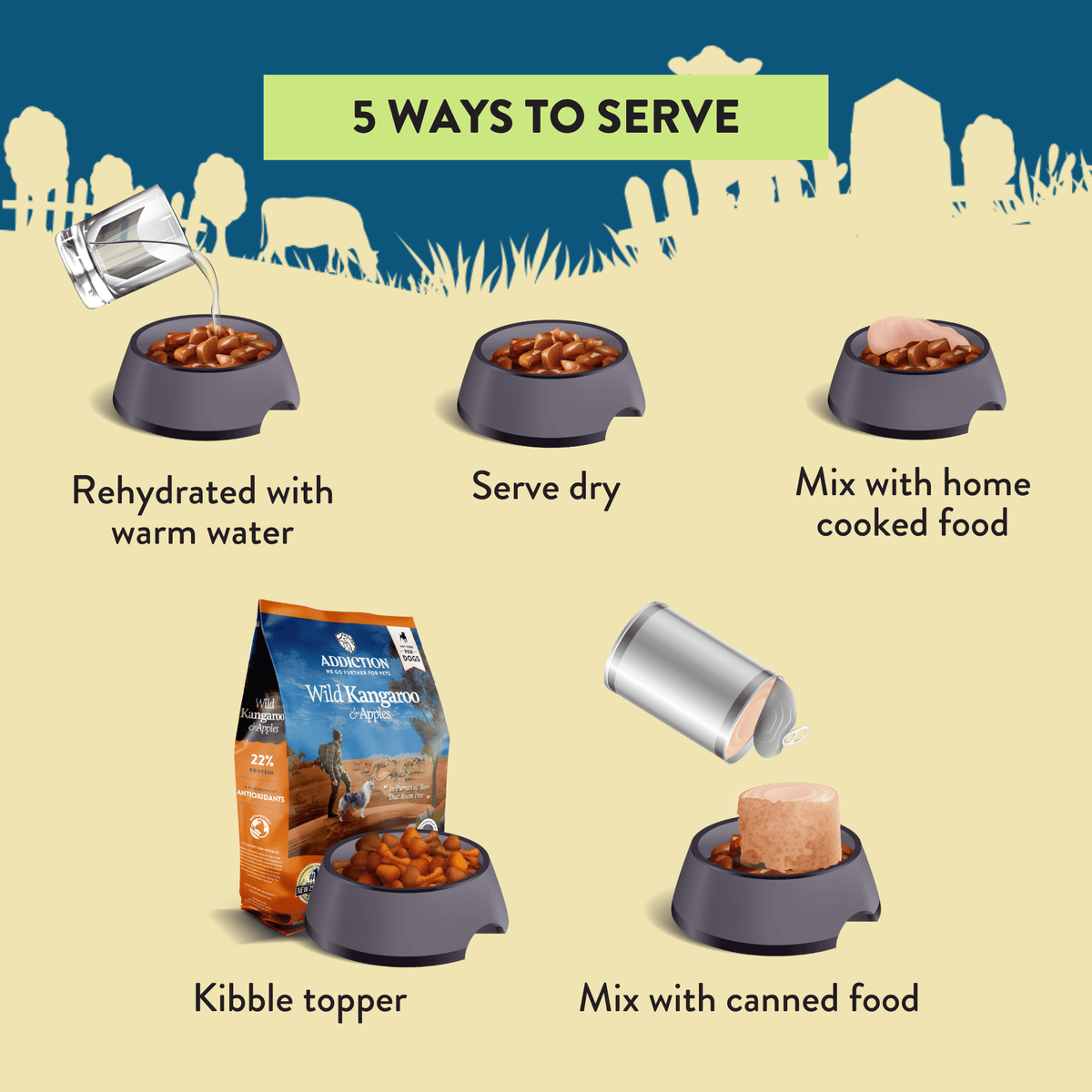 Five ways to serve Addiction air-dried dog food infographic