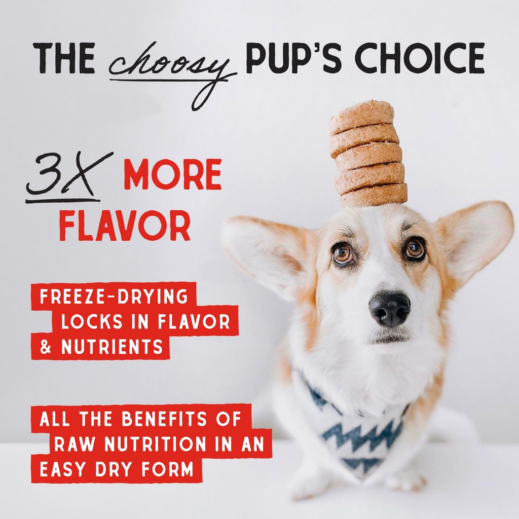 Stella and Chewys Chewys Chicken Dinner Patties Freeze-Dried Raw Dog Food – photo 4 of 8