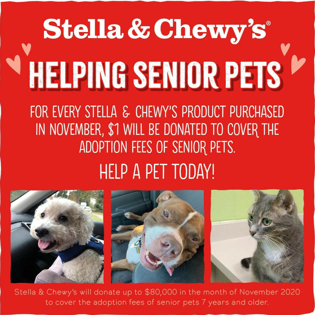 Stella and Chewys Chewys Chicken Meal Mixers Freeze-Dried Raw Topper – photo 8 of 9