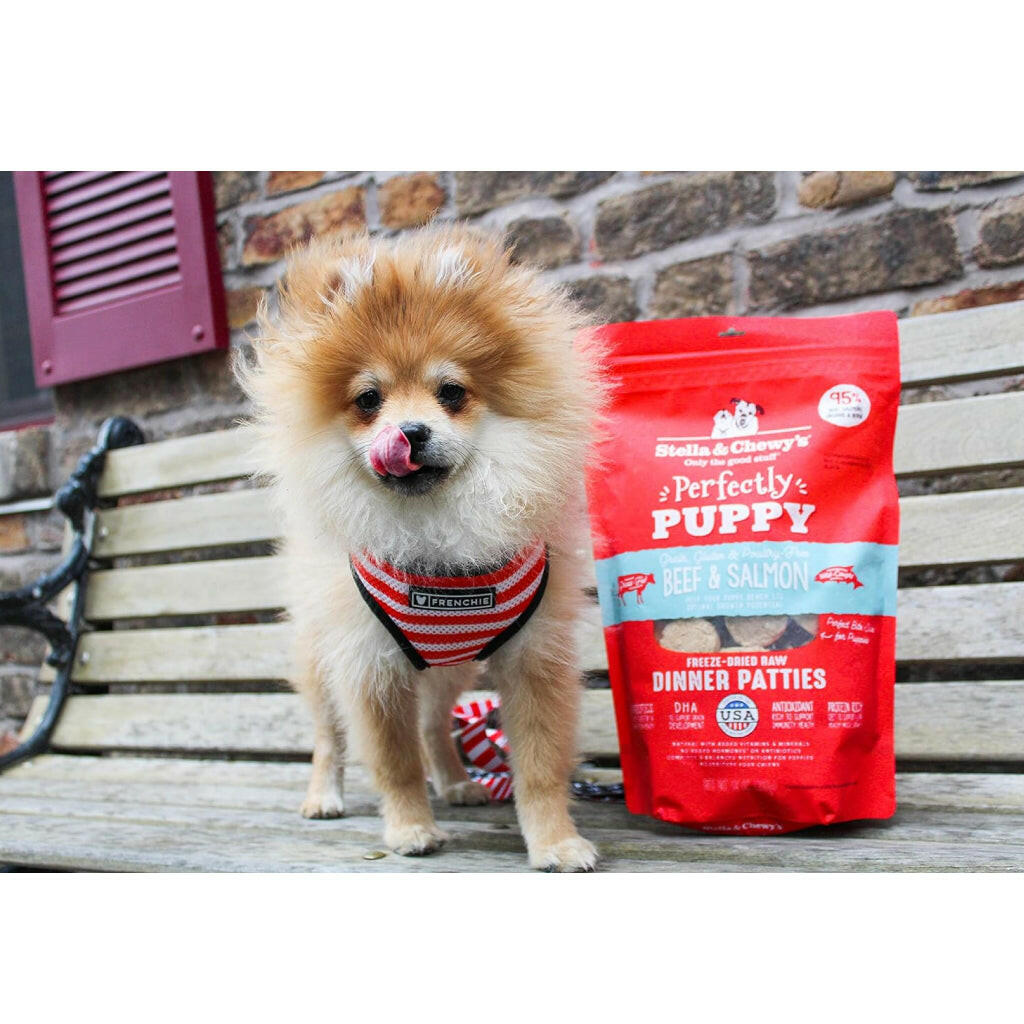 Stella and Chewys Perfectly Puppy Beef and Salmon Dinner Patties Freeze-Dried Raw Food – photo 9 of 9