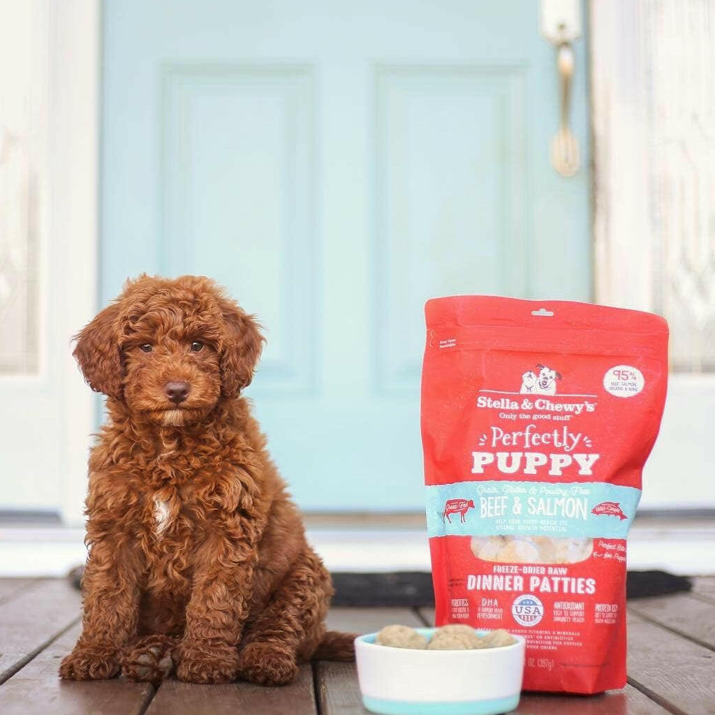 Stella and Chewys Perfectly Puppy Beef and Salmon Dinner Patties Freeze-Dried Raw Food – photo 7 of 9