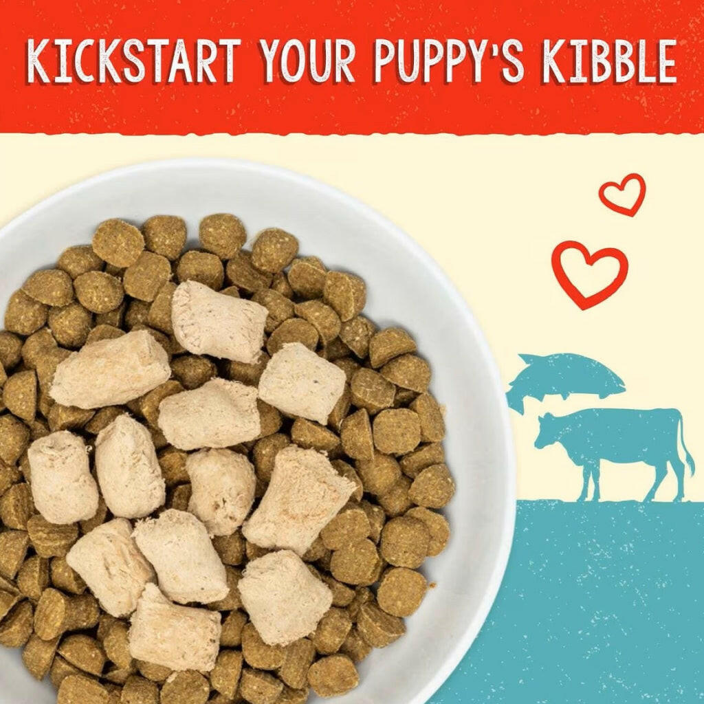 Stella and Chewys Perfectly Puppy Beef Salmon Meal Mixers – photo 2 of 8