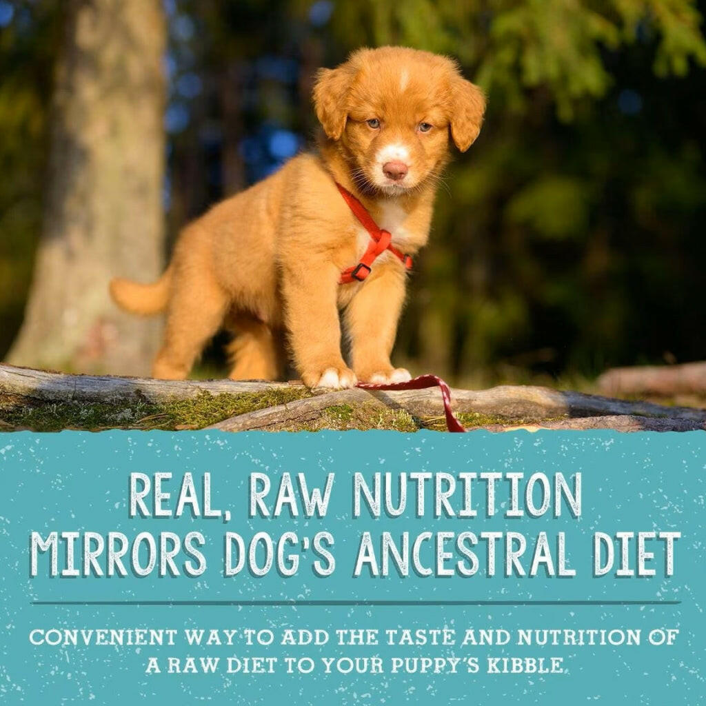 Stella and Chewys Perfectly Puppy Beef Salmon Meal Mixers – photo 6 of 8