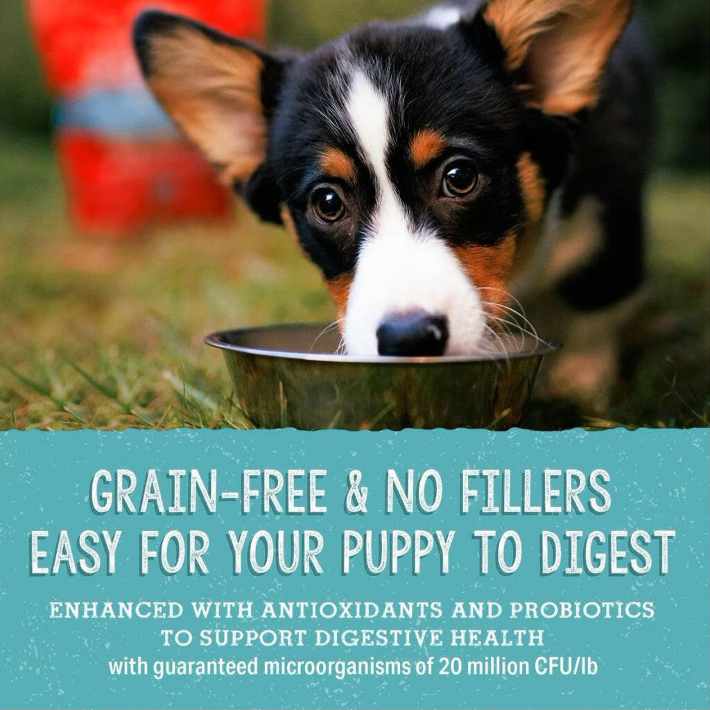 Stella and Chewys Perfectly Puppy Beef Salmon Meal Mixers – photo 8 of 8