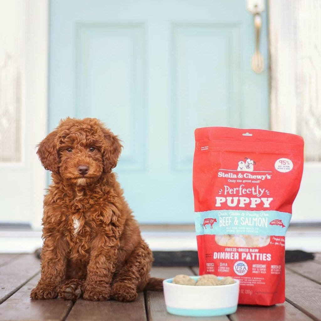 Stella and Chewys Perfectly Puppy Chicken and Salmon Dinner Patties Freeze-Dried Raw Food – photo 9 of 9