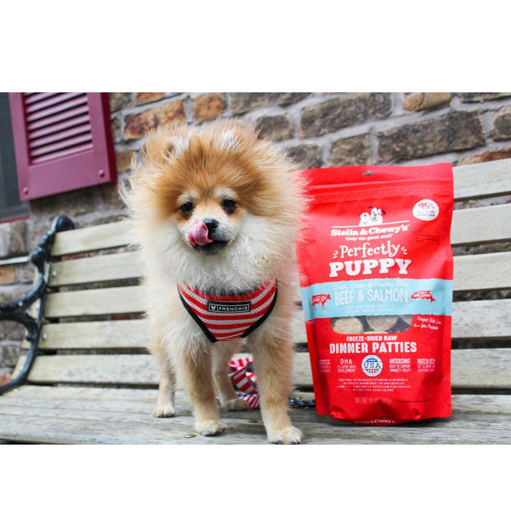Stella and Chewys Perfectly Puppy Chicken and Salmon Dinner Patties Freeze-Dried Raw Food – photo 8 of 9