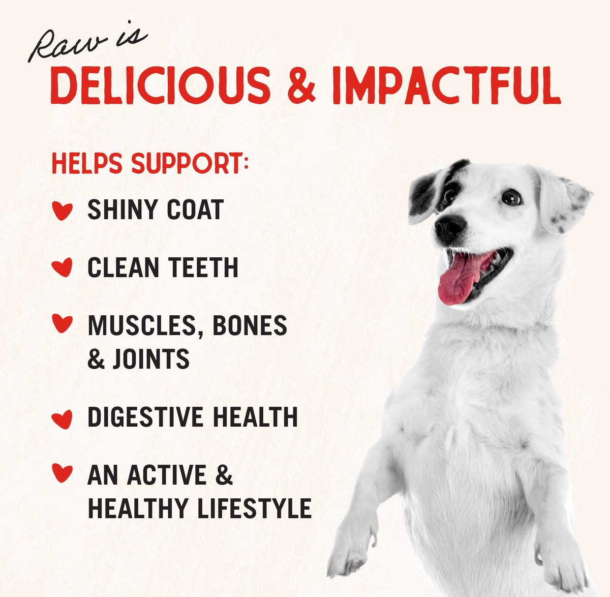 Stella and Chewys Simply Venison Dinner Patties Freeze-Dried Raw Dog Food – photo 5 of 7