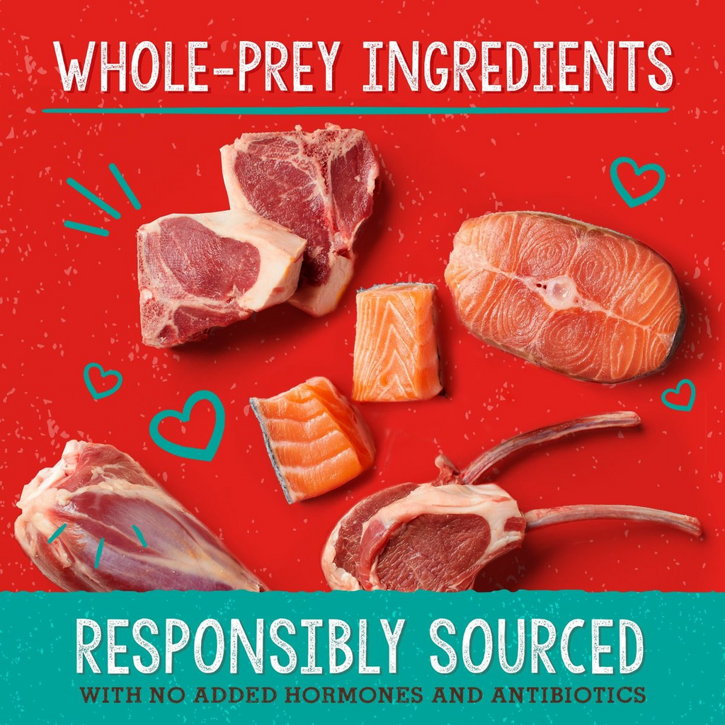 Stella and Chewys Stellas Solutions Skin and Coat Boost Lamb Salmon Morsels – photo 5 of 5