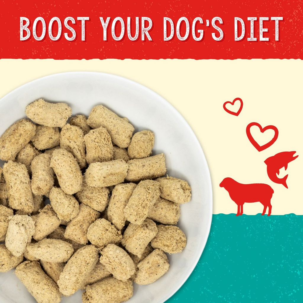 Stella and Chewys Stellas Solutions Skin and Coat Boost Lamb Salmon Morsels – photo 2 of 5