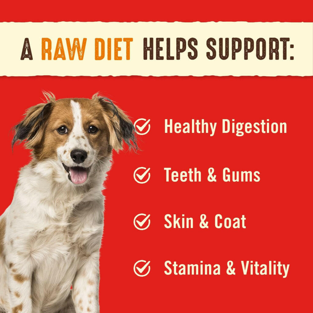 Stella and Chewys Stellas Super Beef Dinner Patties Freeze-Dried Raw Dog Food – photo 4 of 11