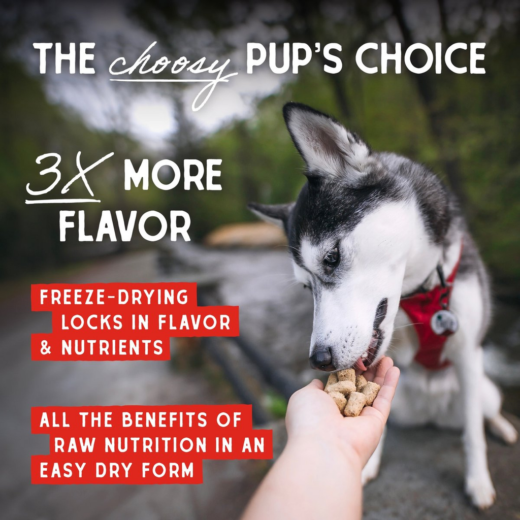 Stella and Chewys Stellas Super Beef Meal Mixers Freeze-Dried Raw Topper – photo 3 of 6