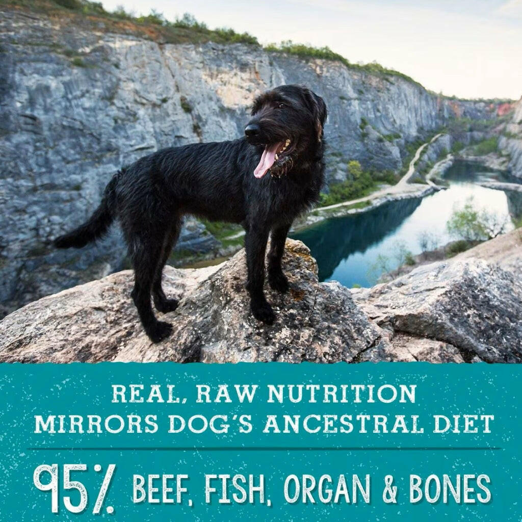 Stella and Chewys Surf N Turf Meal Mixers Freeze-Dried Raw Topper – photo 4 of 8