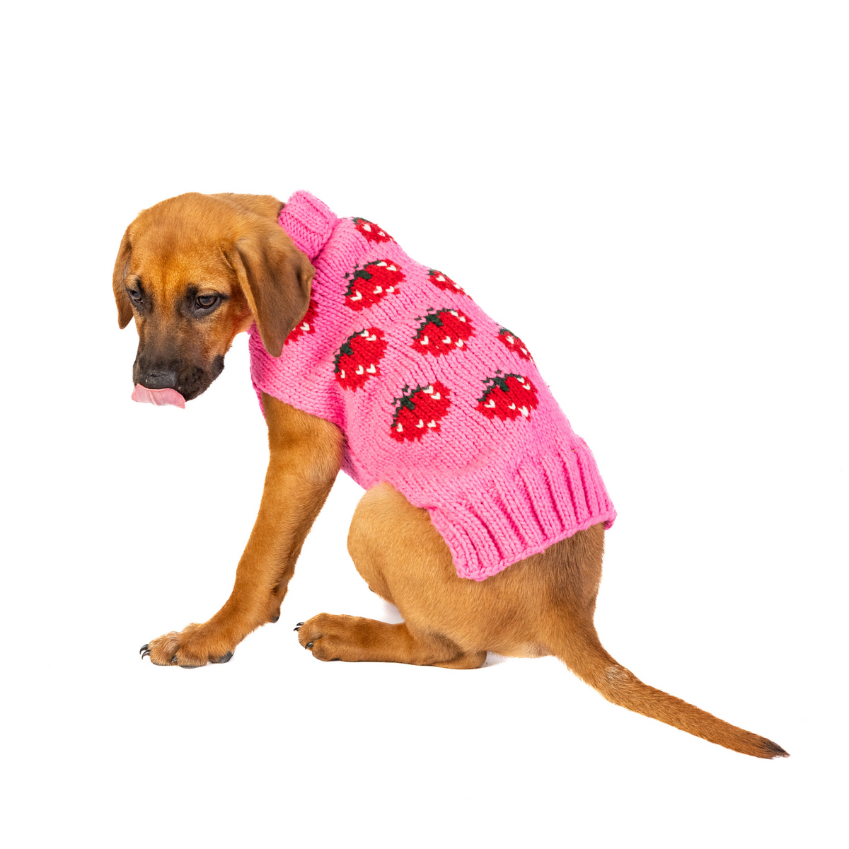Strawberry Dog Sweater Bright Pink Berry Design – photo 2 of 6