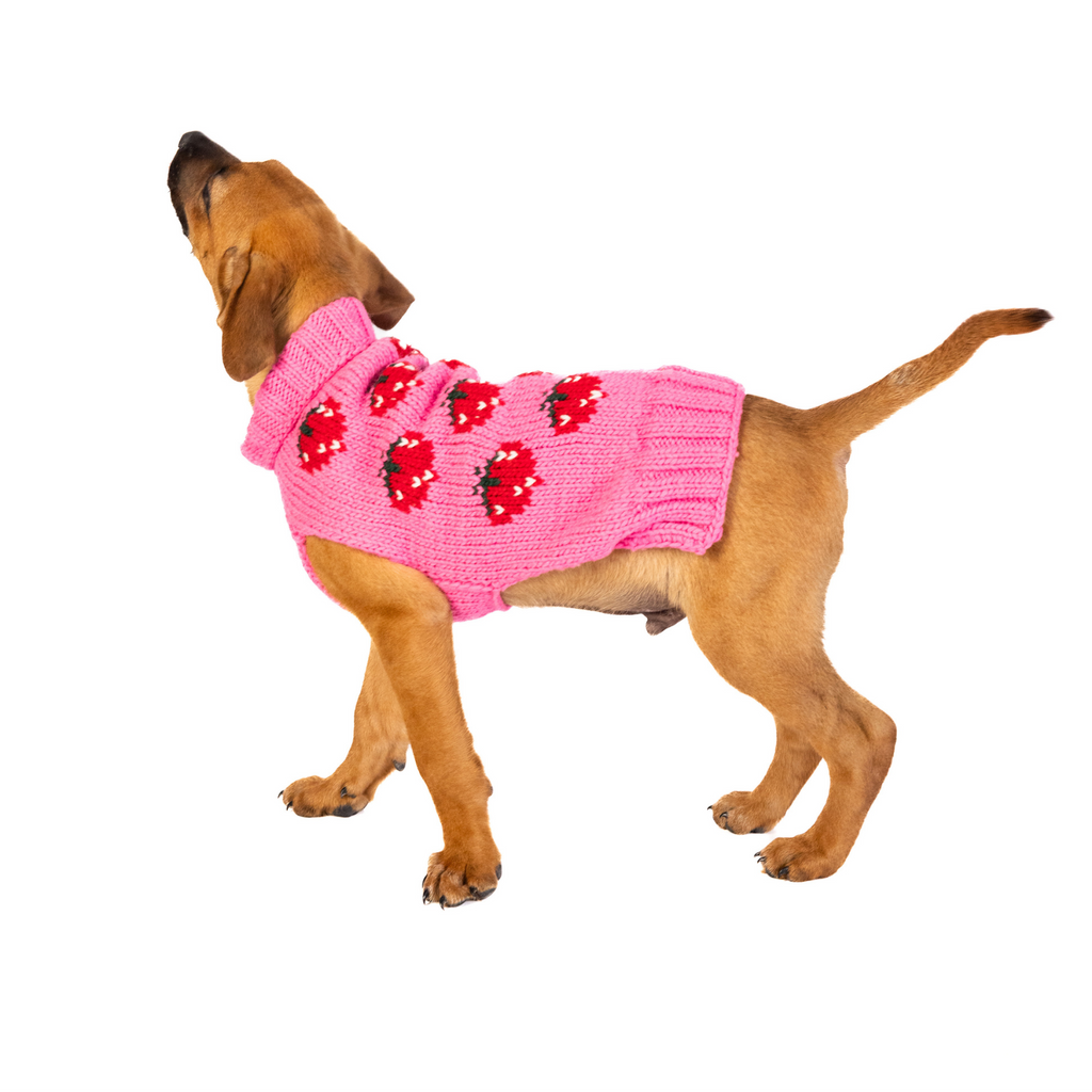 Strawberry Dog Sweater Bright Pink Berry Design – photo 4 of 6
