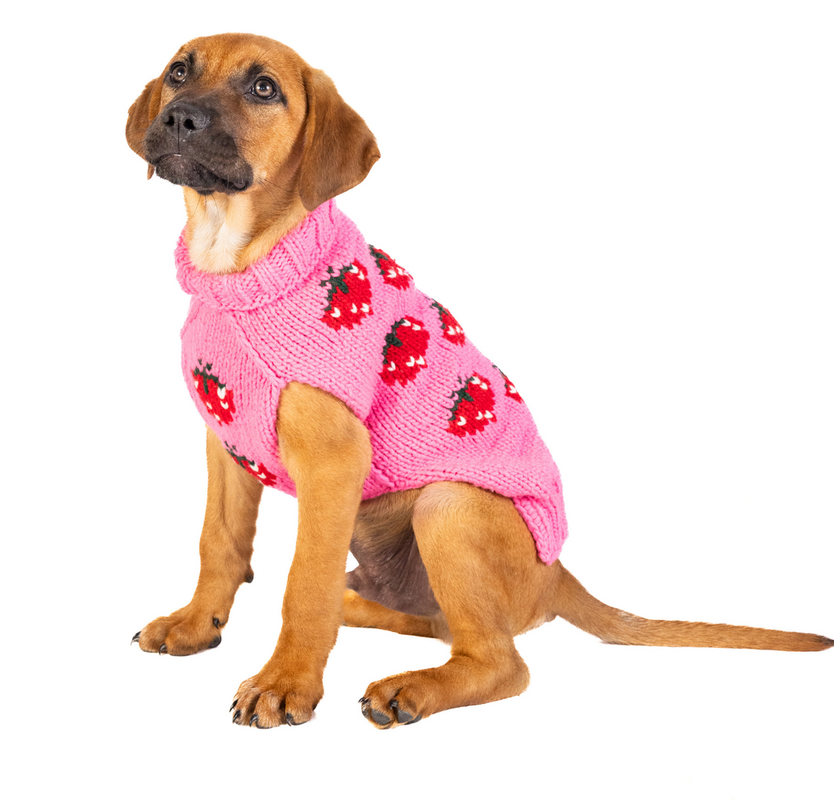 Strawberry Dog Sweater Bright Pink Berry Design – photo 1 of 6