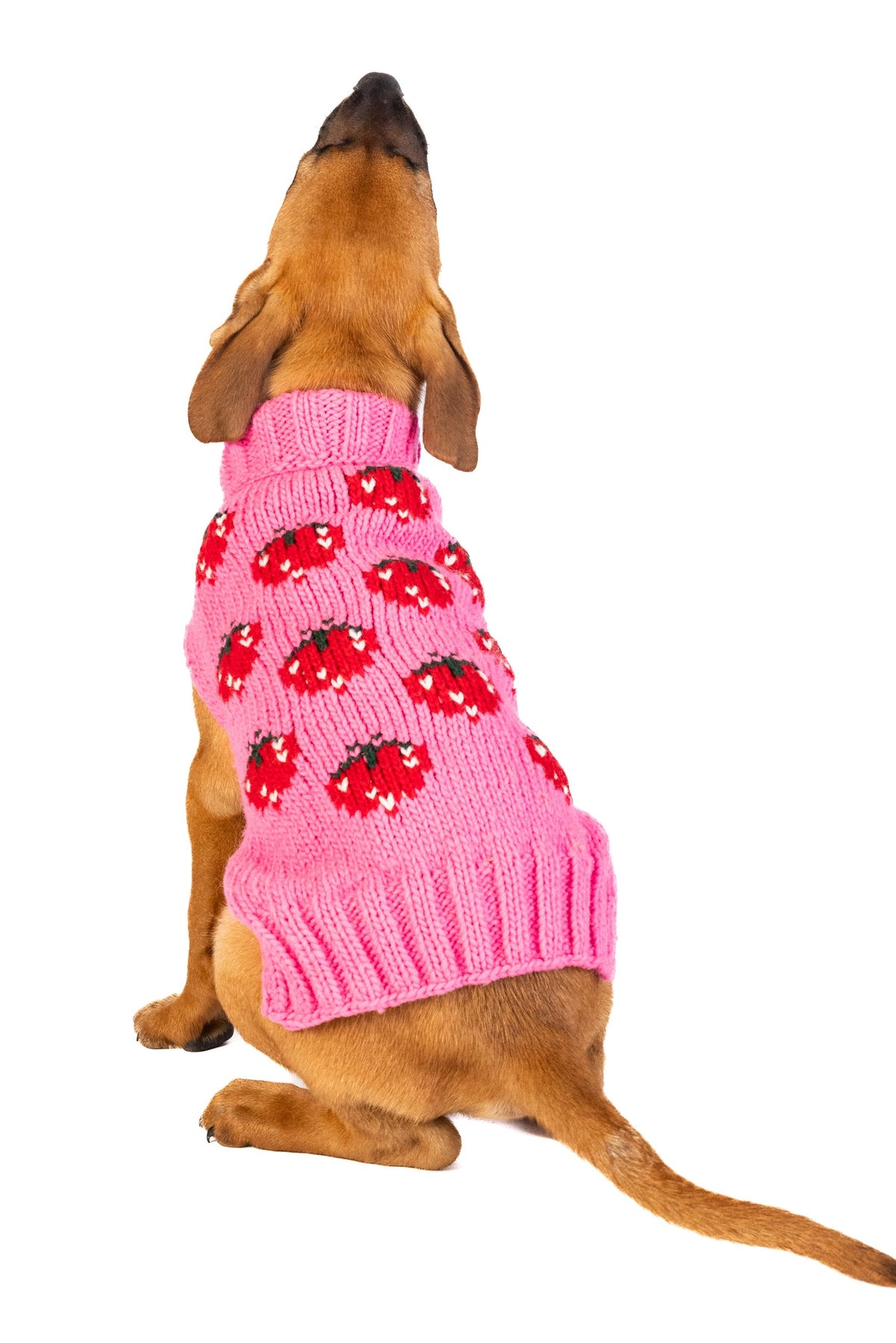 Strawberry Dog Sweater Bright Pink Berry Design – photo 5 of 6