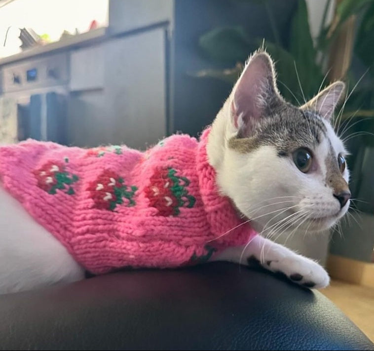 Strawberry Dog Sweater Bright Pink Berry Design – photo 6 of 6