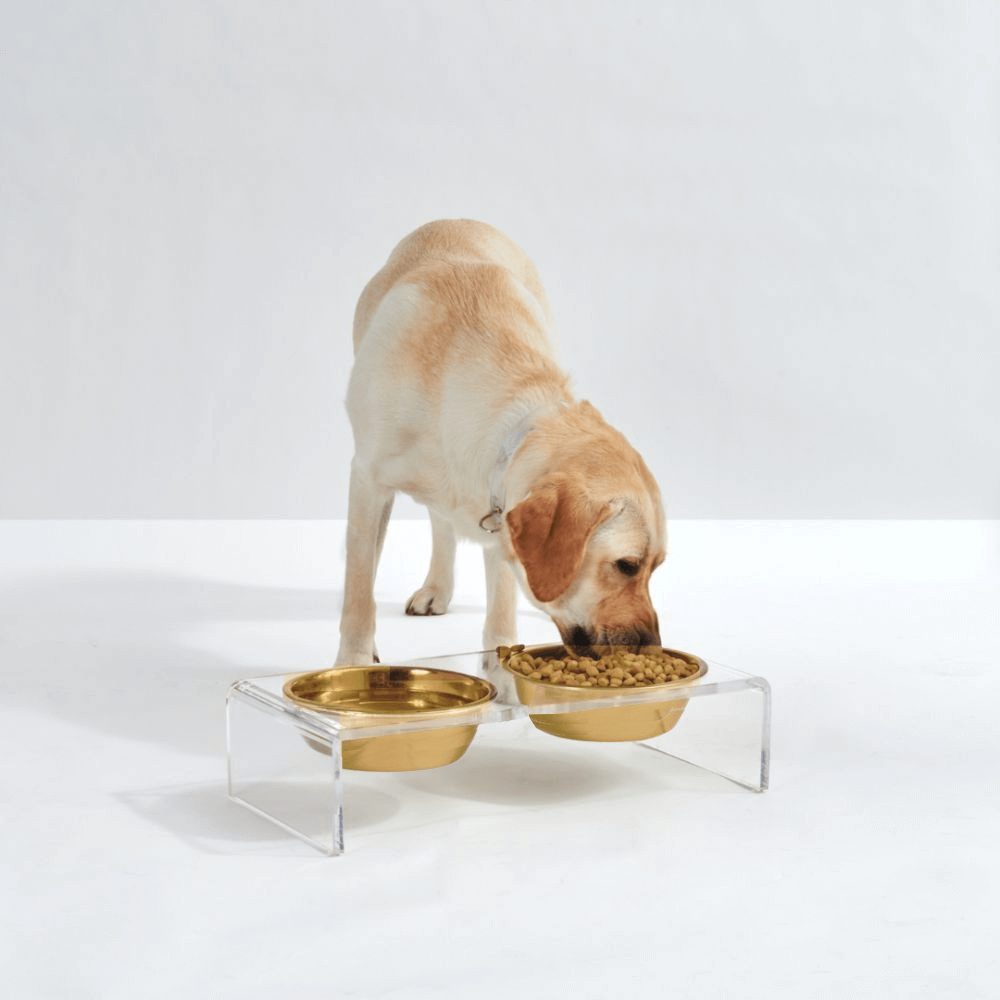 Hiddin Small Gold Feeder – Lucite Stand with Stainless Steel Bowls – alternate view 15