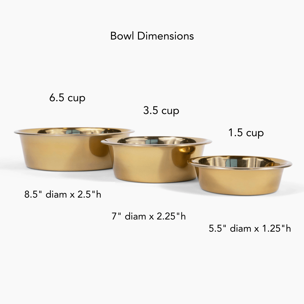 Hiddin Medium Gold Lucite Feeder – Elevated Bowls – alternate view 13