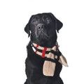 Classic Tan Plaid Pet Scarf Hand Knit Wool – photo 1 of 3