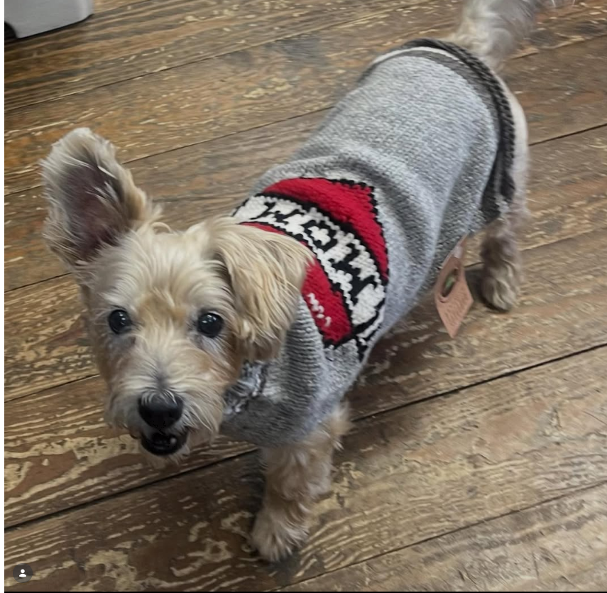 Tattooed Mom Dog Sweater Grey and Red Wool – photo 6 of 6