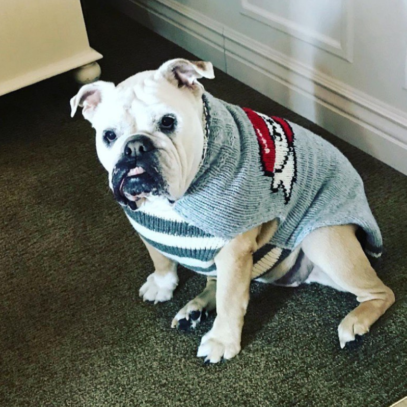 Tattooed Mom Dog Sweater Grey and Red Wool – photo 5 of 6