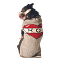 Tattooed Mom Dog Sweater Grey and Red Wool – photo 1 of 6