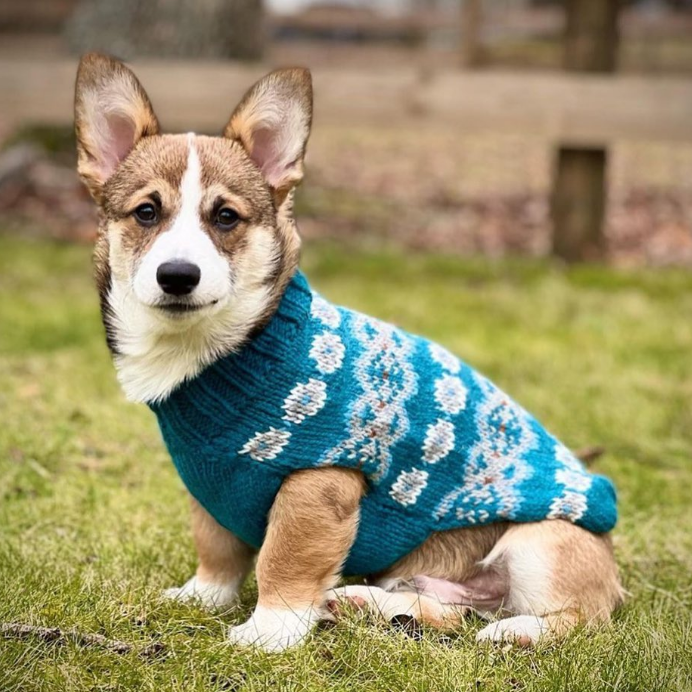 Alpaca Teal Fair Isle Dog Sweater Teal Gray and Cream – photo 3 of 6