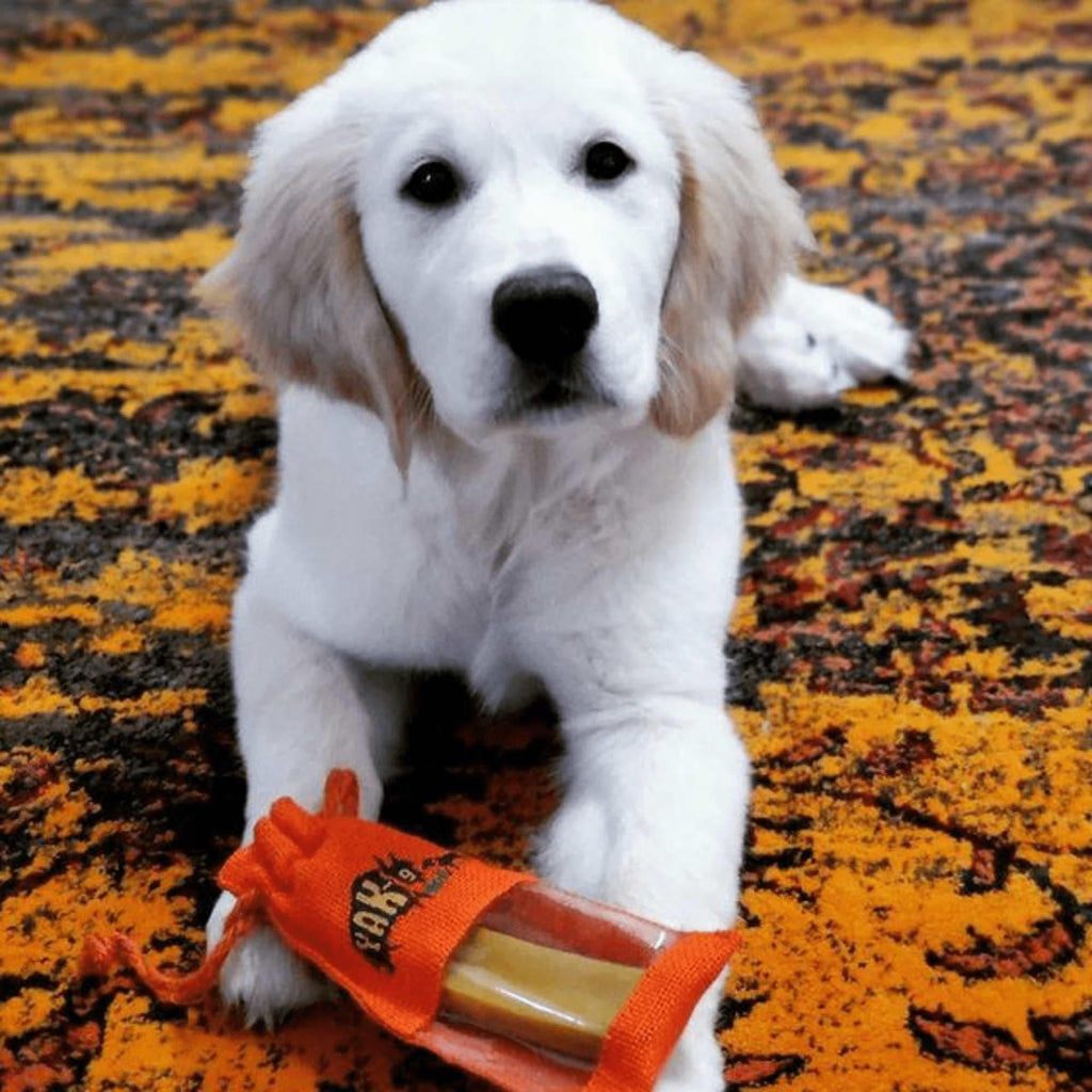 Turmeric Yak Milk Chews for Dogs – alternate view 5