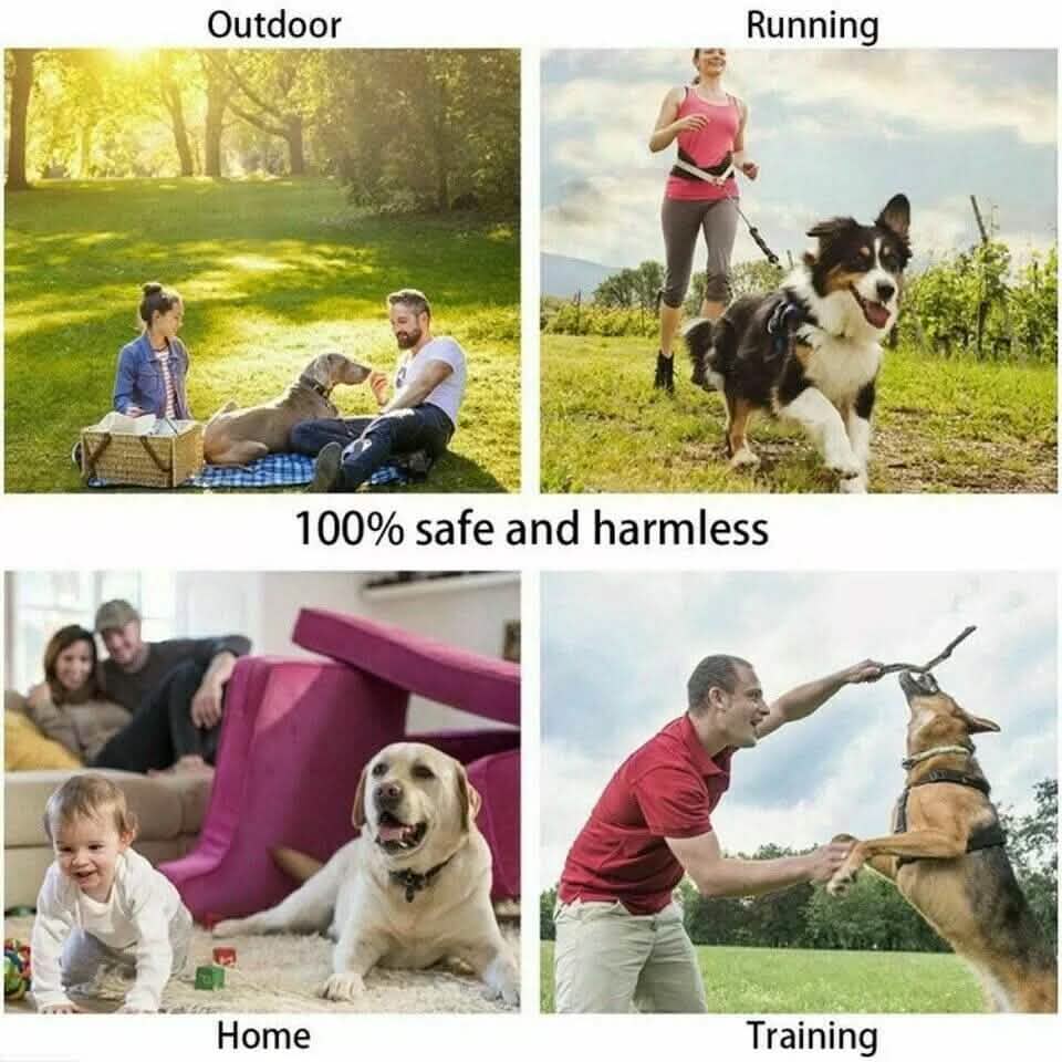 Ultrasonic Anti-Bark Training Device Handheld – photo 13 of 13