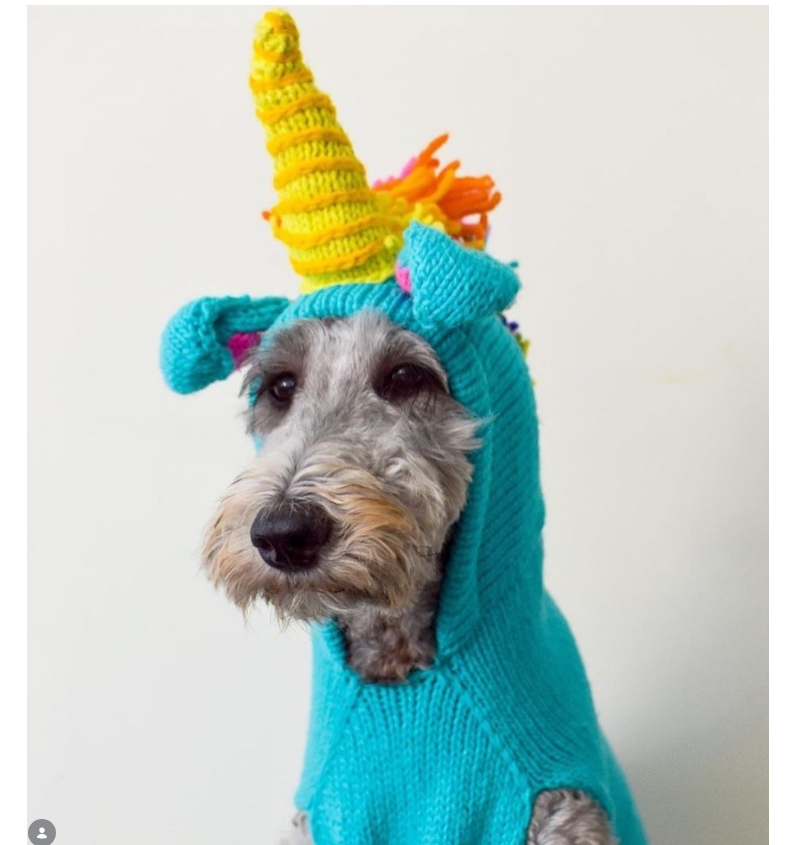 Unicorn Dog Sweater Hand Knit Wool Pullover – photo 4 of 5