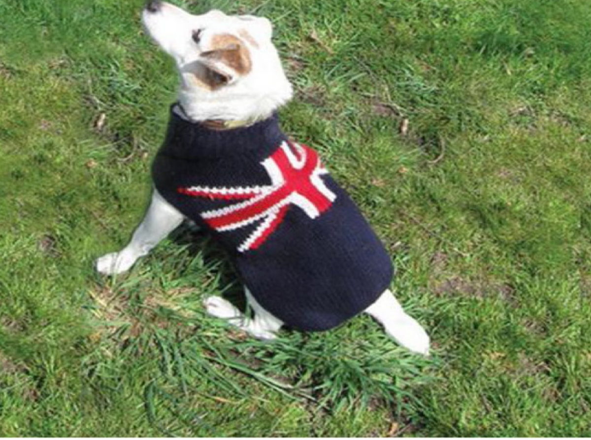 Union Jack Wool Dog Sweater Hand Knit Pullover – photo 4 of 4