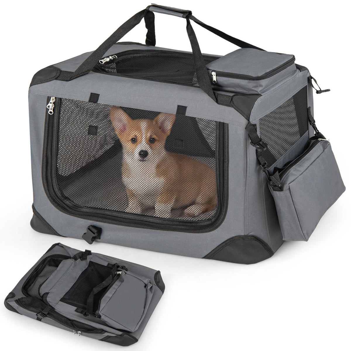 Soft Collapsible Dog Crate with Mesh Windows and 3 Doors – photo 4 of 32