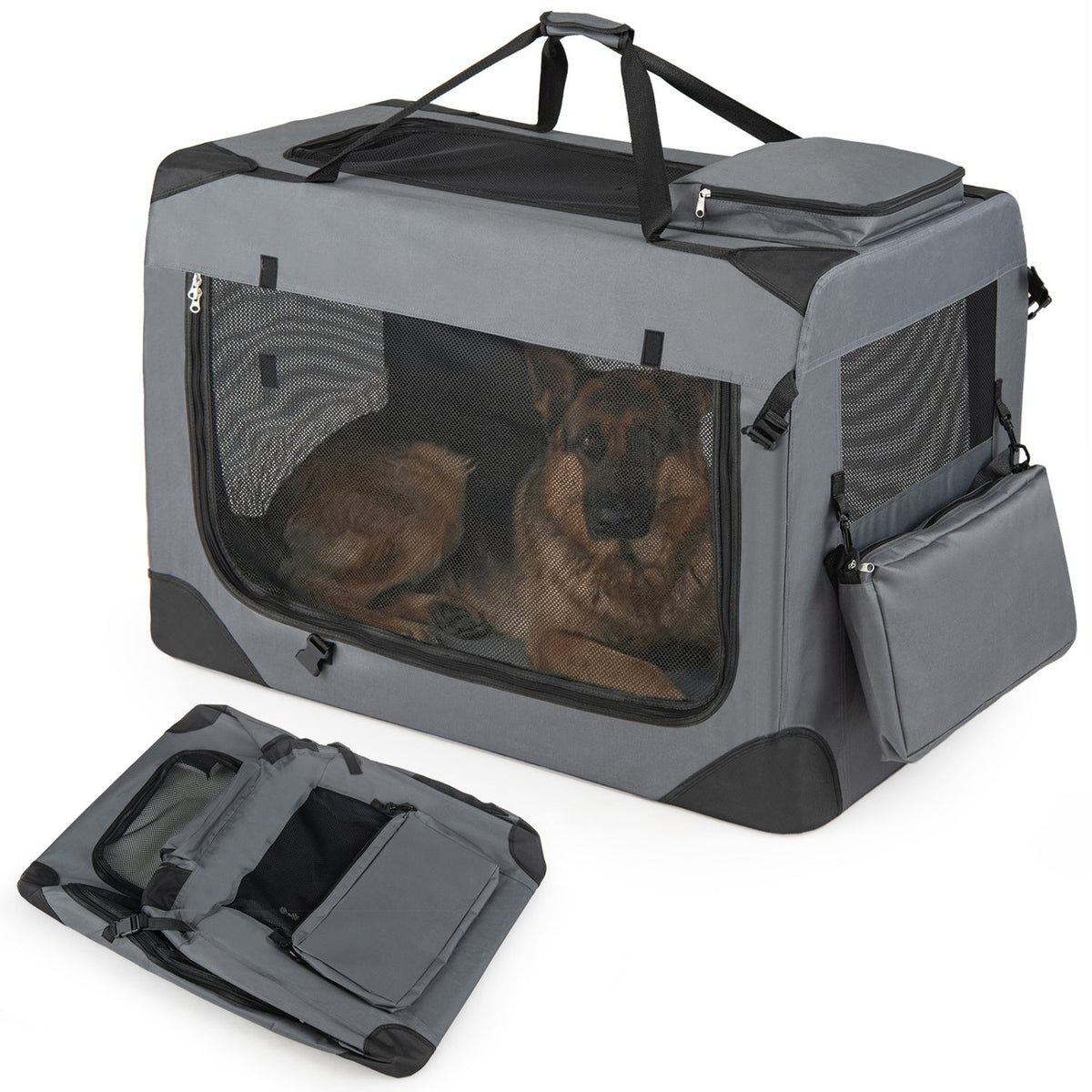 Soft Collapsible Dog Crate with Mesh Windows and 3 Doors – photo 28 of 32