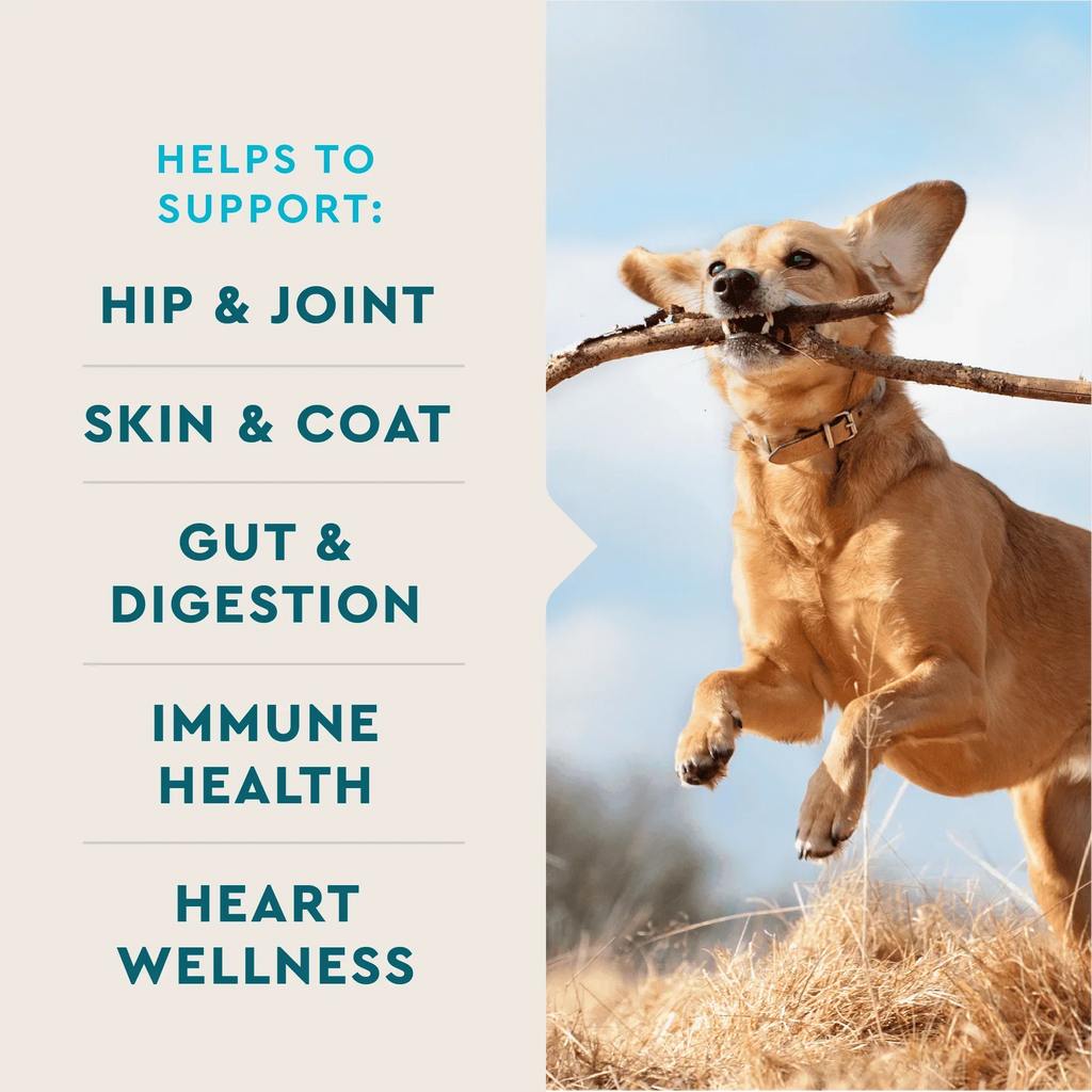 VetIQ 8-in-One Multi Functional Supplement Soft Chews – photo 5 of 8