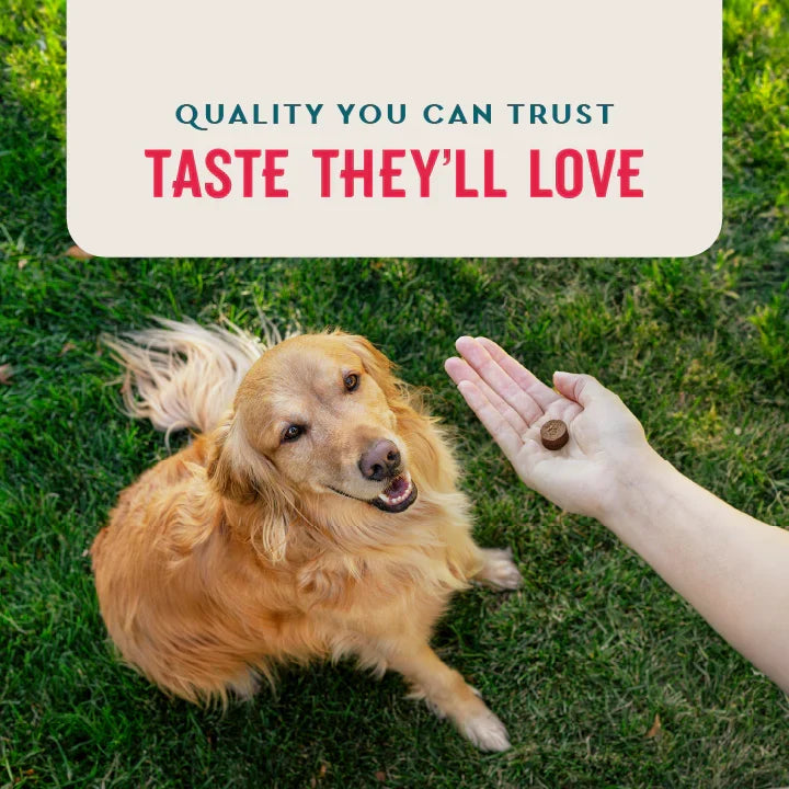 VetIQ 8-in-One Multi Functional Supplement Soft Chews – photo 8 of 8