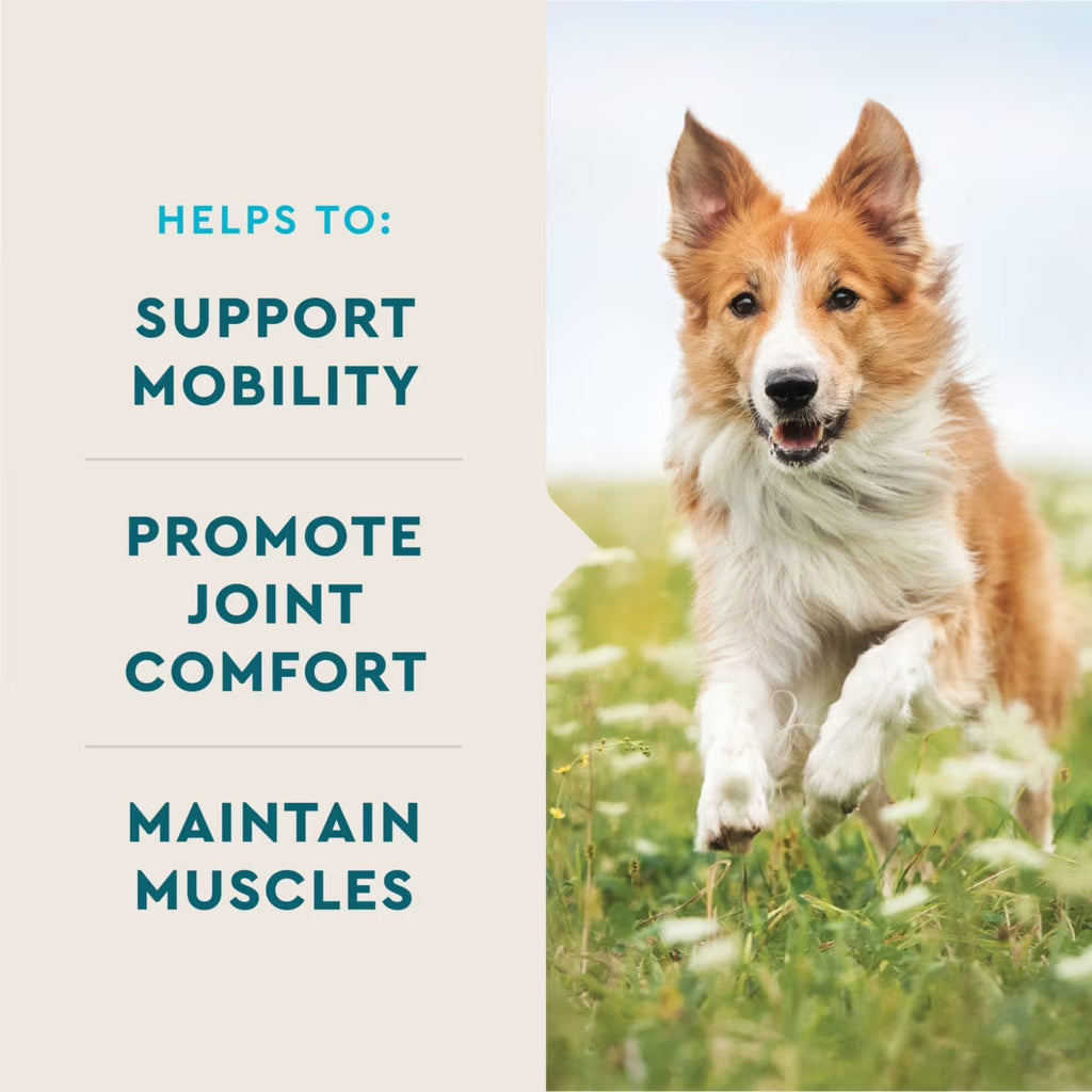 VetIQ Advanced Hip and Joint Soft Chews for Dogs – photo 4 of 6